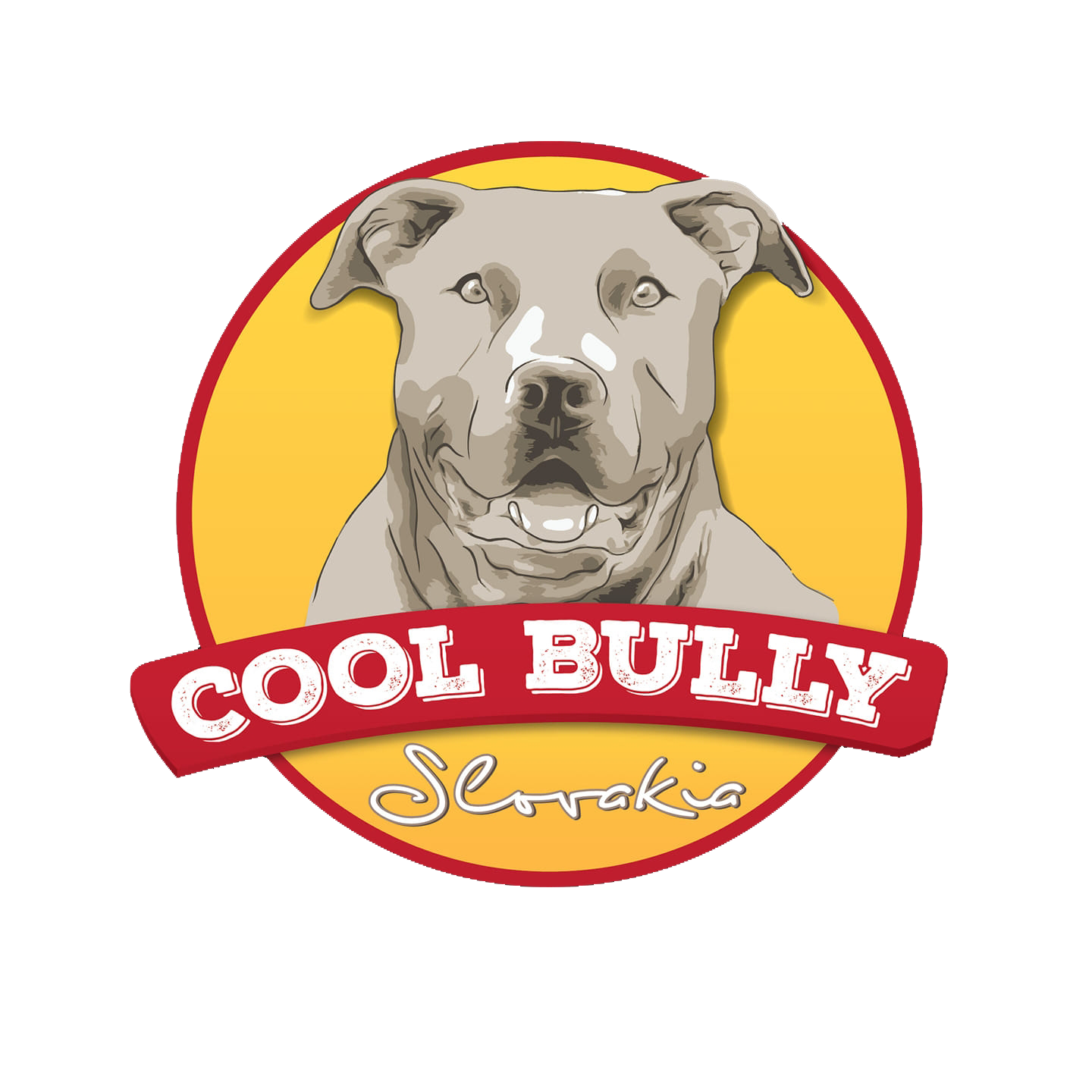 logo COOL BULLY Slovakia